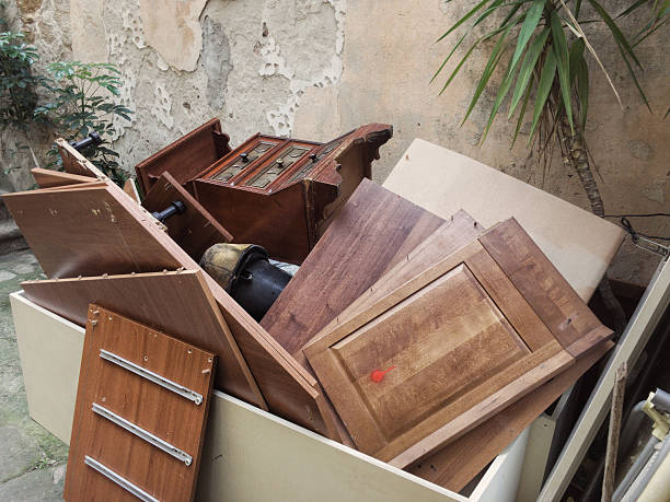 Yard Cleanup Services in Tusculum, TN